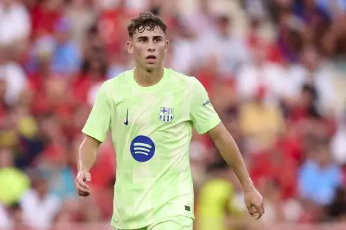 48 საათი ფერმინს