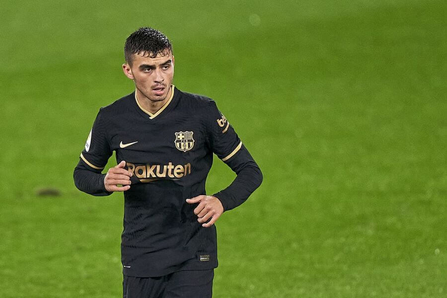 პირველივე დღიდან ადაპტაციის პერიოდი კარგად წარიმართა – პედრი